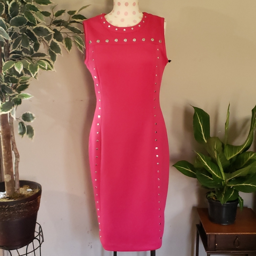 Karl Lagerfeld Pink Dress